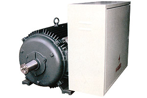 DYG高啟動轉(zhuǎn)矩多速節(jié)能電機(jī)