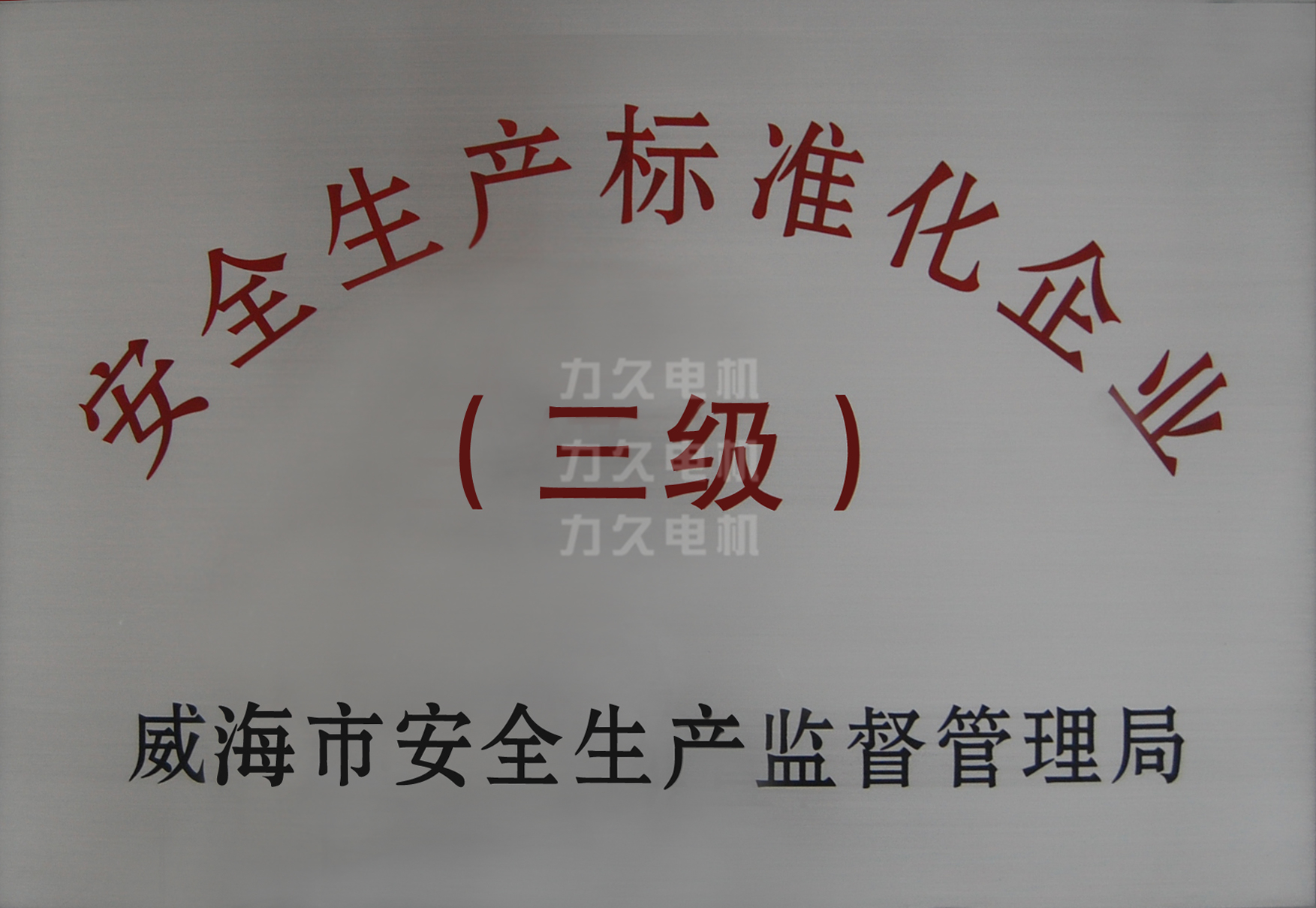 力久電機安全生產(chǎn)標(biāo)準(zhǔn)化企業(yè)