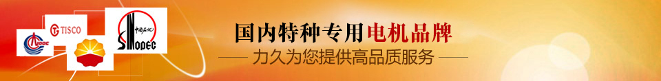 力久——特種專(zhuān)用電機(jī)品牌！